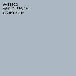 #ABB8C2 - Cadet Blue Color Image